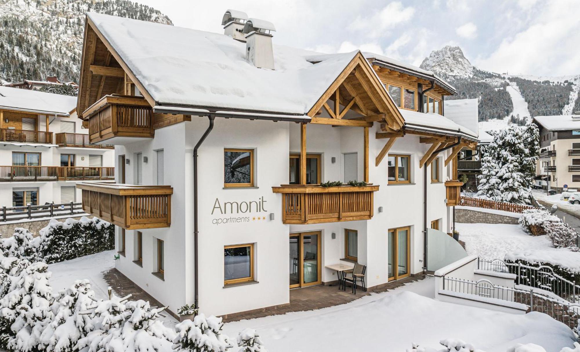 Amonit - Your Dolomites Home Сельва-ди-Валь-Гардена Экстерьер фото